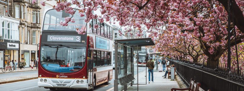 Image of a Lothian City bus with cherry blossom trees