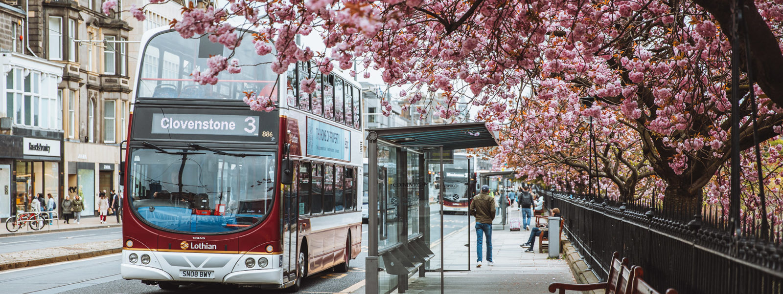 Image of a Lothian City bus with cherry blossom trees