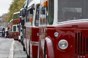 Vintage buses parked in a line.