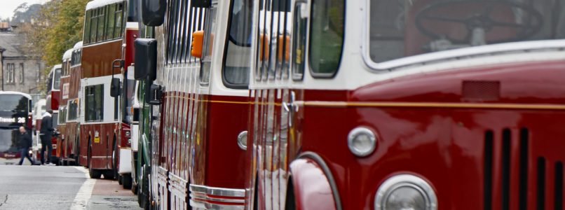 Vintage buses parked in a line.