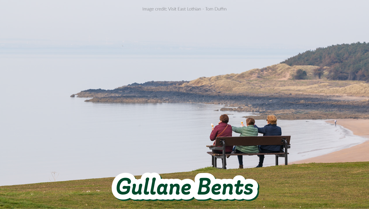 Image of Gullane Bents