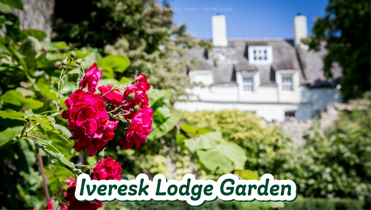 Image of the Inveresk Lodge Garden