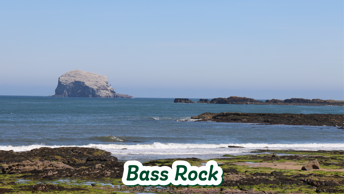 Image of Bass Rock