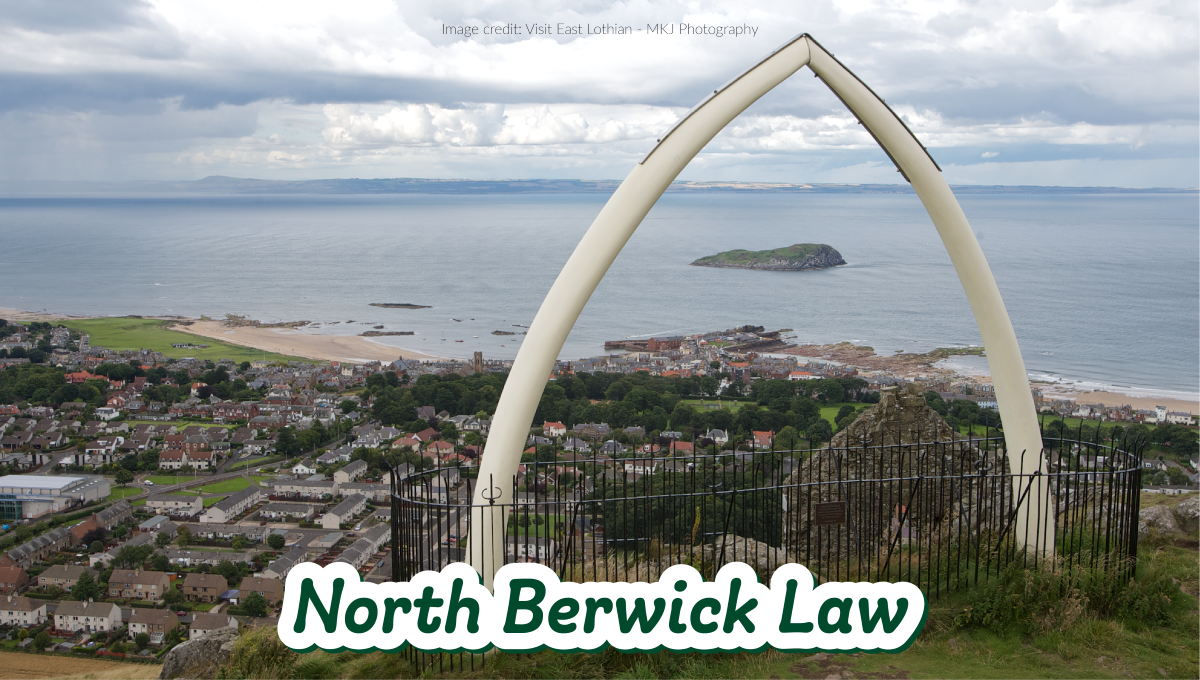 Image of North Berwick Law