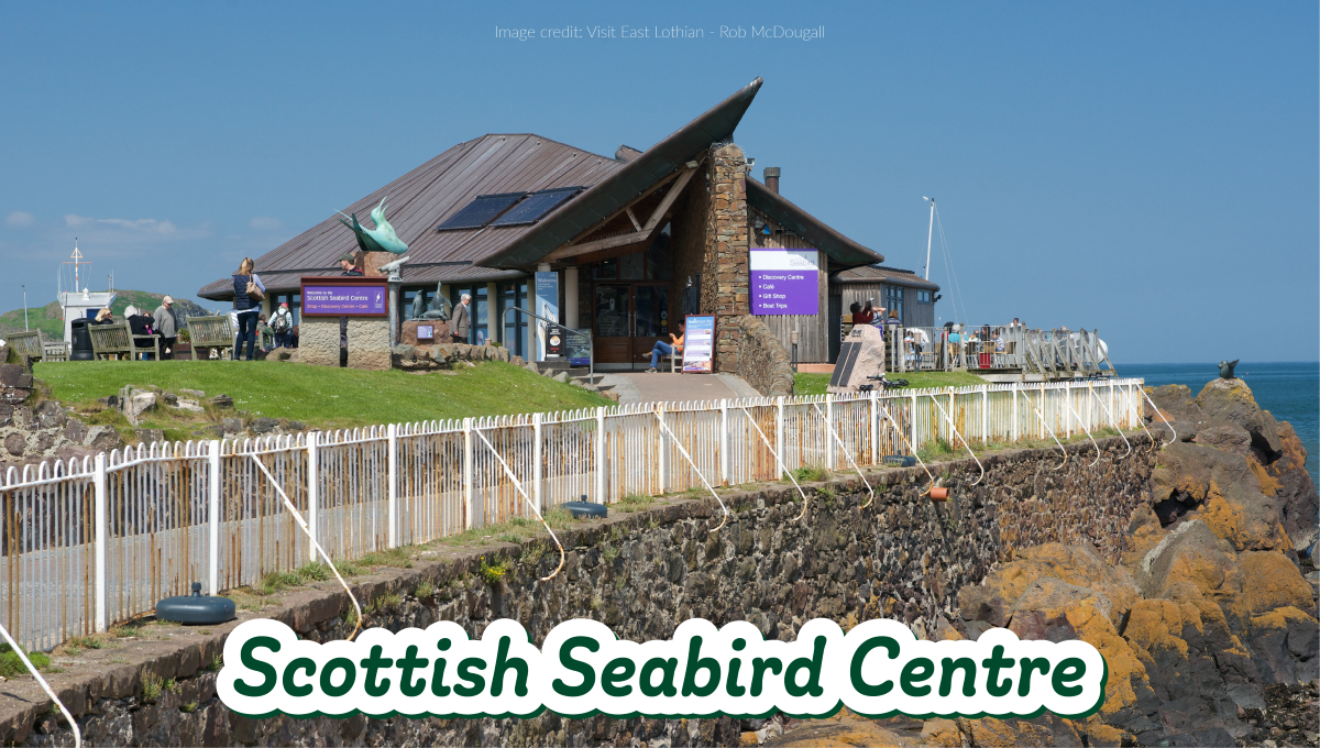 Image of the Scottish Seabird Centre In North Berwick