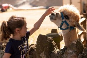John Muir Alpacas